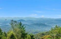 291 Old Leaguer Lane, Mouth of Wilson, VA 24363