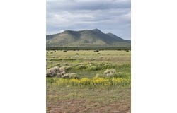 165 Reid Road, Datil, NM 87821