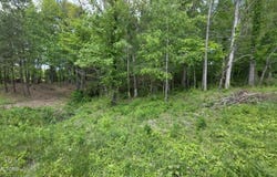 Keating Loop lot: 8, Crossville, TN 38555