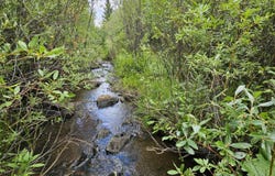 75 County Road 1932, Kremmling, CO 80459