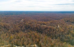 15682 Winding Trail, Birch Tree, MO 65438