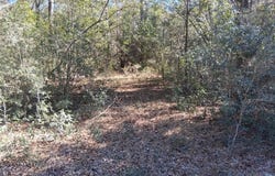 Williamson Road, Chunchula, AL 36521