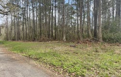 None Yet Forest Drive, Hemingway, SC 29554