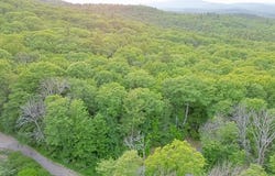 Mountain Road, Lyndeborough, NH 03082