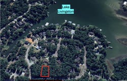 91 Twinstone Cir, Coldspring, TX 77331