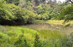 Ellijay, GA 30540