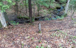 Mitchell Road, Thornton, NH 03223