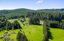 23681 SUTTLE Rd, Veneta, OR 97487