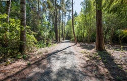53580 MORRISON Rd, Bandon, OR 97411