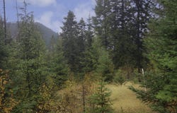 NKA White Cloud Dr, Sandpoint, ID 83864