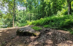 81 Poplar Lane, Warrior, AL 35180