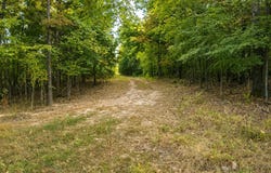 FM 410, Detroit, TX 75436