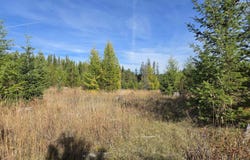 Timberline Heights, Parcel 5, Weippe, ID 83553