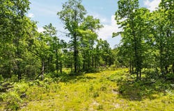 4011 W Forest Road, Lake City, MI 49651