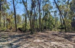 SE Stephens Avenue, Madison, FL 32340