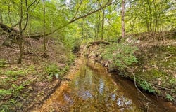 1025 Co Rd 83, Burnsville, AL 36703
