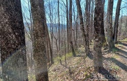 Ed Vanover Road, Creston, NC 28615