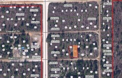 MAPLE Drive, INTERLACHEN, FL 32148