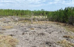 Vacant SW Captain Brown Rd, Madison, FL 32340