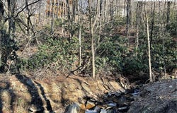 269 Greenbriar Road, Beech Mountain, NC 28604