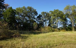 1688 Doc Holiday, Log Cabin, TX 75148