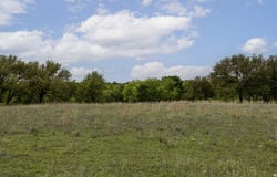 Mason Court, Dublin, TX 76446
