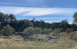 115 N John Bird, Blanco, TX 78606