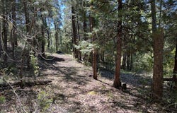00347 Flounce Rock Rd, Prospect, OR 97536