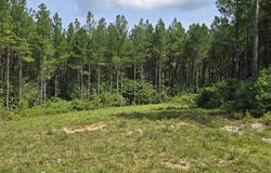 1917 Sheep Ranch Road lot: 5, Robbins, TN 37852