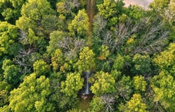 8194 Valley View Rd, Woodman, WI 53816