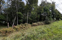 424 Lr 45040 5111, Long Pond, PA 18334
