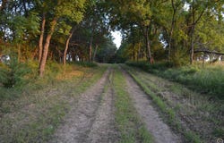 S California Rd, Melvern, KS 66510-9999