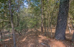 County Road 404, Lafe, AR 72436