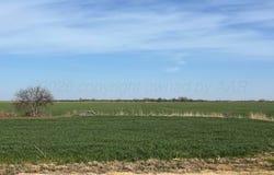 TBD State Highway 6, Crowell, TX 79227