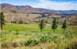 Sawtooth View Rd, Methow, WA 98834