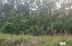 Bellingrath Road, Theodore, AL 36582