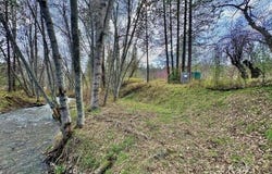 250 S Meadow Ln, Hayfork, CA 96041