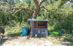 15355 CR 252, Live Oak, FL 32060
