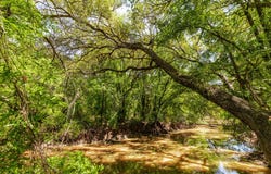 County Road 120, Coleman, TX 76834