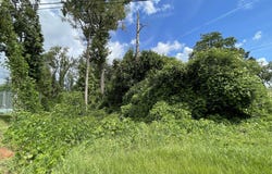 Carters Mill Road, Marianna, FL 32446