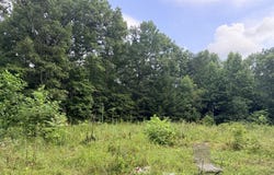Doe Creek Loop lot: 46, Sparta, TN 38583
