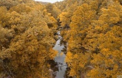 Countryside Dr, Quitman, AR 72131