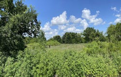 7931 FM 1952, Wallis, TX 77485