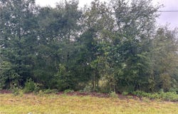 NE 110TH Street, BRONSON, FL 32621