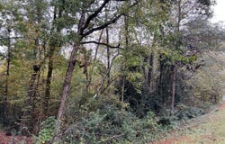 Clinton Crossing Drive, Gray, GA 31032
