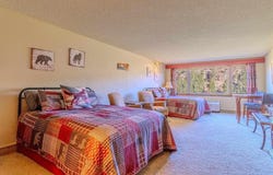 314 N Tamarron Dr, Durango, CO 81301