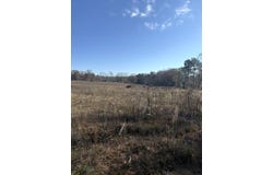 159 D B Williamson Rd # B, Louisville, MS 39339