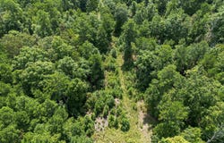 9808 Forestry Rd, Sheridan, AR 72150