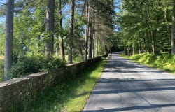 Eldred, NY 12732