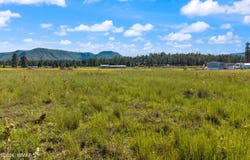 18 Co Rd 2092, Alpine, AZ 85920